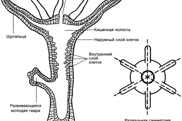 Кракен наркоплейс