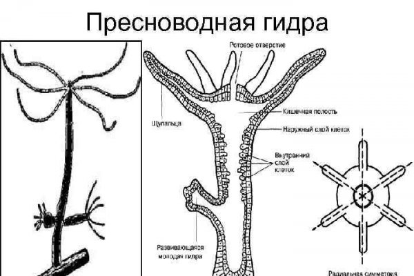 Что за кракен маркет