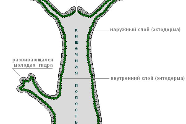 Кракен верное зеркало