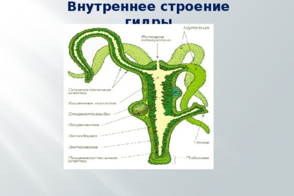 Kraken darknet зеркала кракен обход