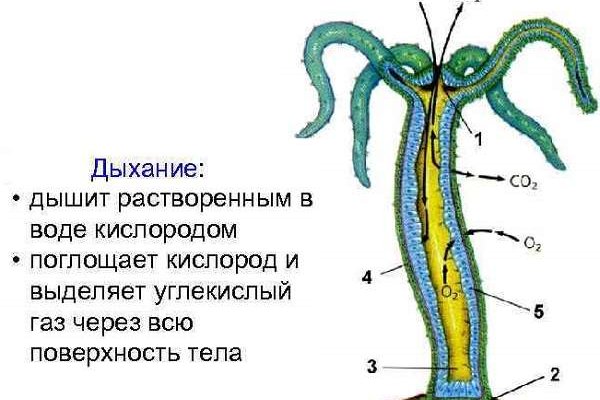 Кракен маркет kr2web in