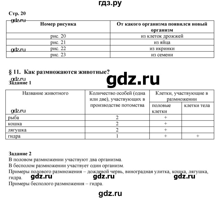 Kra29.cc